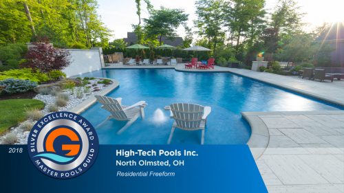 Silver Excellence Award for residential freeform pool design.