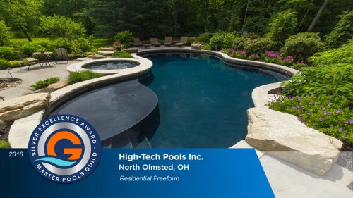 Silver Excellence Award for residential freeform pool design.