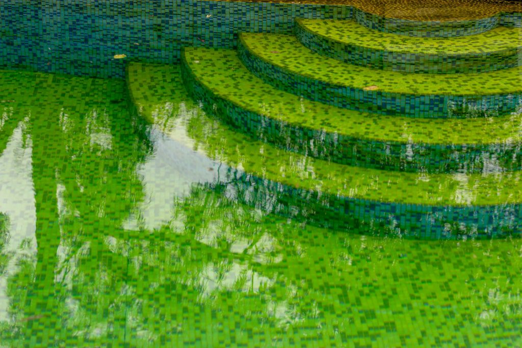 Green algae on tiled pool steps | High Tech Pools