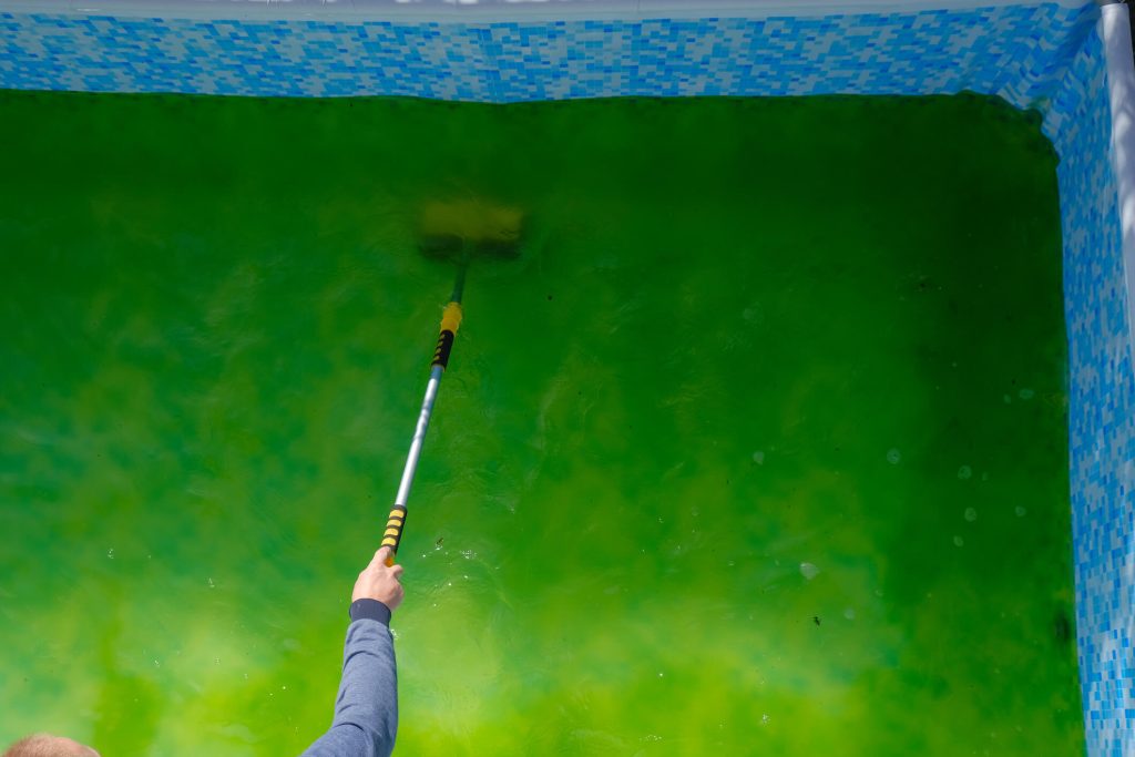 Cleaning green pool water with brush | High Tech Pools